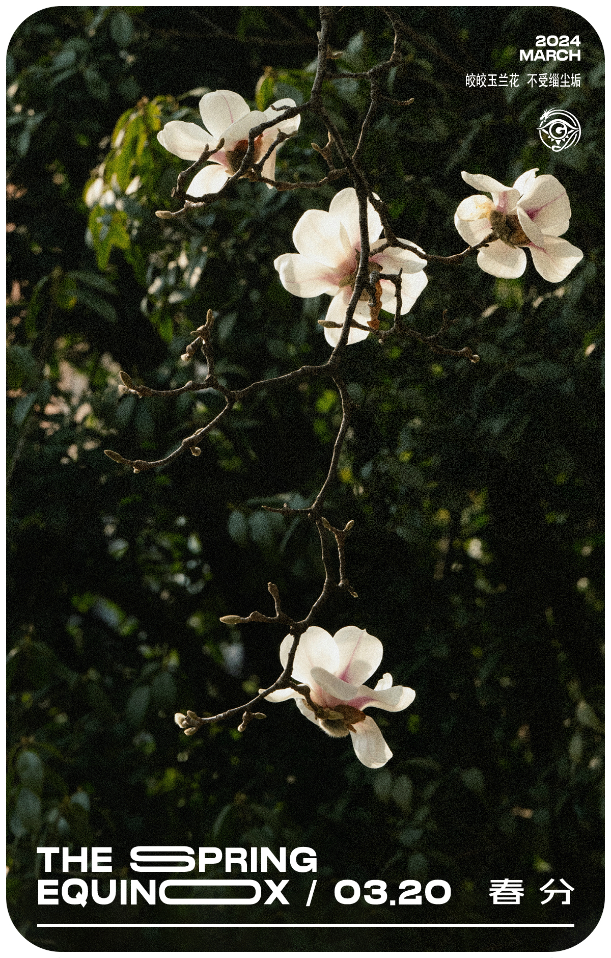 二十四番花信風·春分篇 二十四番花信風·春分篇